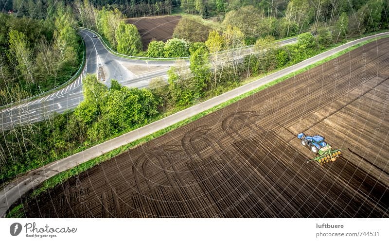 Drill corn Landscape Plant Spring Beautiful weather Tree Field Forest Tractor Work and employment Driving Green Agriculture Colour photo Exterior shot