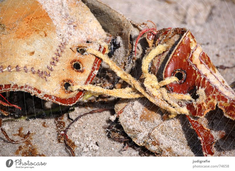 flotsam and jetsam Flotsam and jetsam Footwear Discovery Find Doomed Beach Wet Leather Shoelace Eyelet Broken Brown Washed up Sand