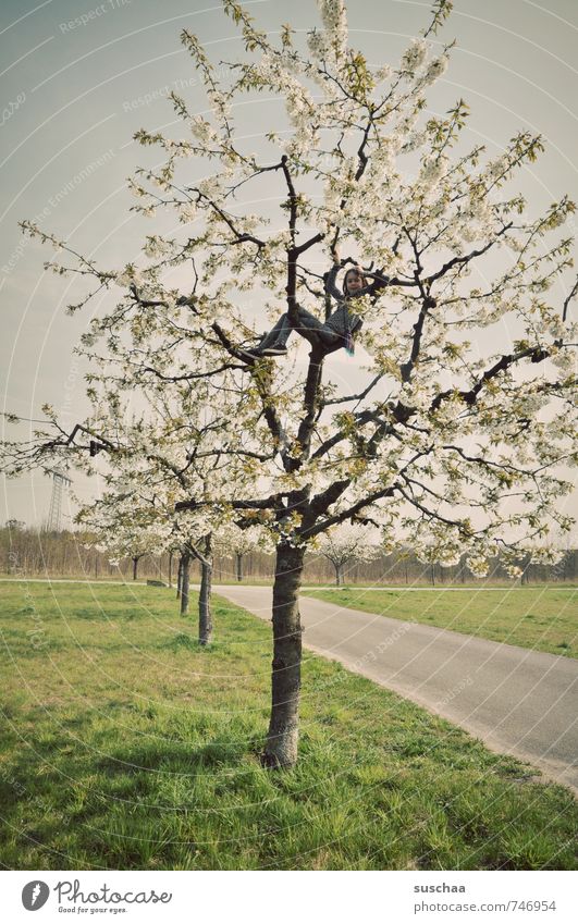 ... spring Child Girl Boy (child) Infancy 3 - 8 years 8 - 13 years Environment Nature Landscape Spring Climate Climate change Tree Free Cherry tree