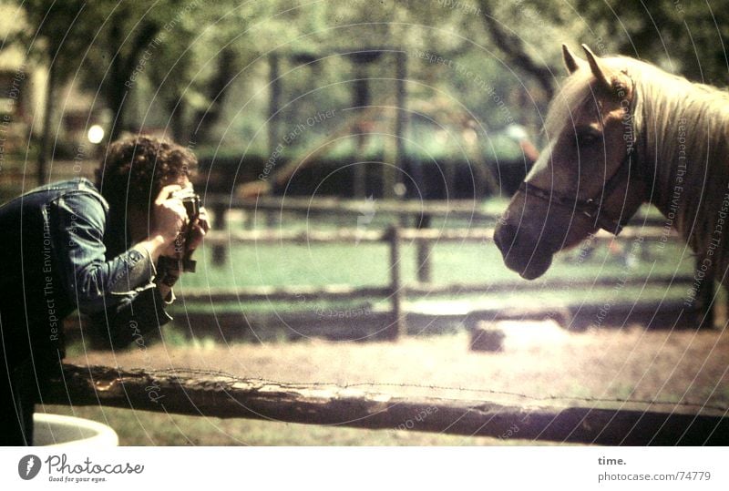 Do something! Ditto! Calm Workplace Masculine Man Adults 1 Human being Animal Summer Beautiful weather Park Pasture Jacket Blonde Bangs Horse Observe To hold on