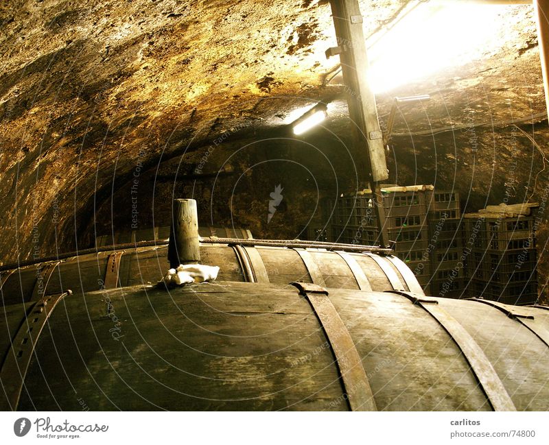 Wine barrels in an old wine cellar Mosel (wine-growing area) Wine growing Cellar Oak barrel Red wine Wine tasting Blackout Mineral water Cellar arch