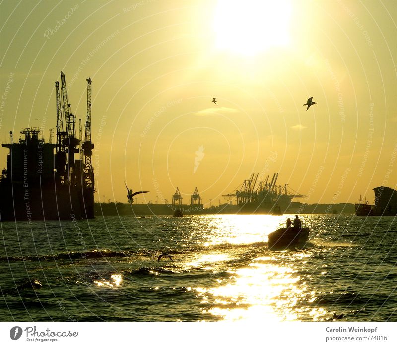 Bonnie & Clyde Depart Motorboat Ferry Seagull Evening sun Sunset Crane Together Far-off places Horizon Let's get outta here Flee Harbour Hamburg Bird Escape