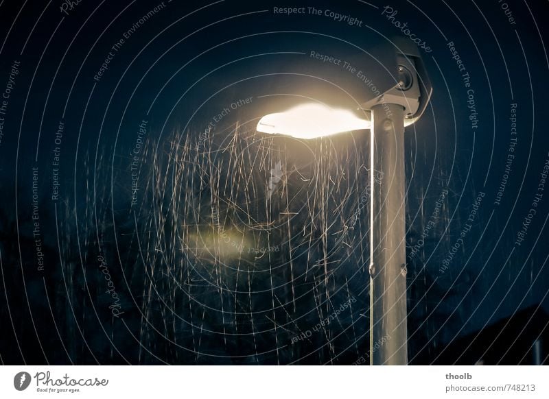 Rain at street lamp Lamp Elements Water Drops of water Night sky Street lighting To fall Dark Blue Yellow Gold Black Moody Movement Stagnating Colour photo