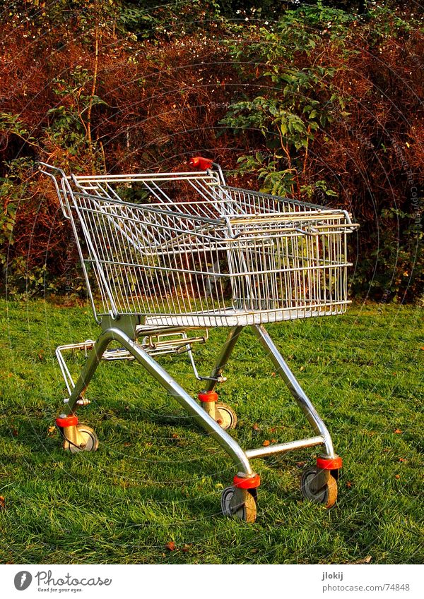 Shopping on the green meadow Shopping Trolley Autumn Consumption Store premises Microchip Food Empty Paying Driving Logistics Red Coil In transit Grass Bushes