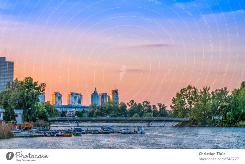 Old Danube in Vienna Well-being Contentment Relaxation Calm Meditation Aquatics Water Night sky Sunrise Sunset Summer Beautiful weather Grass Bushes River bank