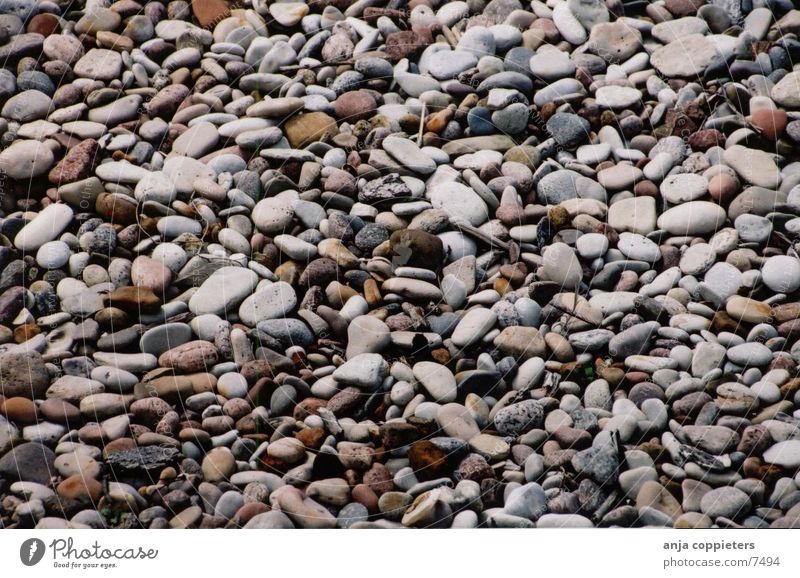 stones Ocean Beach Latvia Stone Nature Baltic liepaja