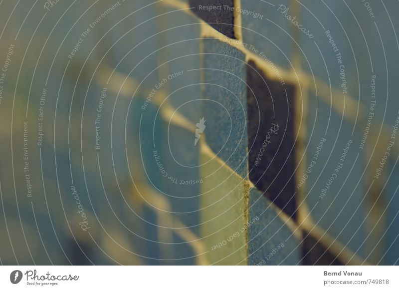 fugue ... Swimming pool Seam Tile Old Seventies Blue Shallow depth of field Green Brown Perspective Wall (building) Pattern Decoration Rough Undulating Agitated