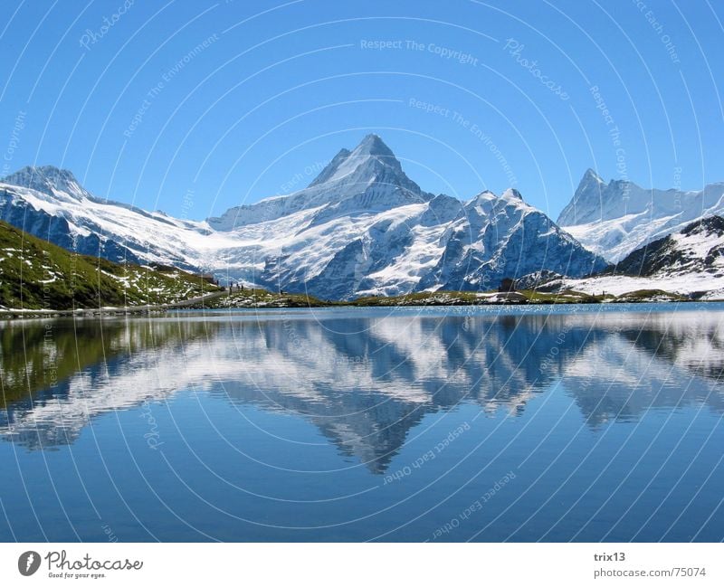 bugle Schreckhorn White Lake Reflection 2 Meadow Panorama (View) Mountain Point Snow Sky Blue Water Nature Alps Antlers Idyll double Vantage point