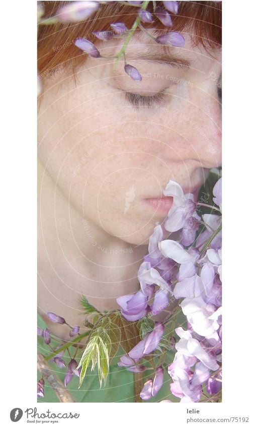 flowerchild Flower Violet Fairy tale Spring Dream Portrait photograph Fine Dreamily Freckles Green Woman Collarbone Delicate Elf Eyes Plant Eyelash