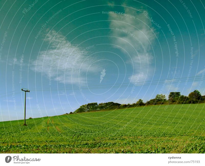 green field Field Clouds Overhead line Agriculture Flourish Green Hill Moody Summer Sky Nature Landscape Harvest Far-off places Trip