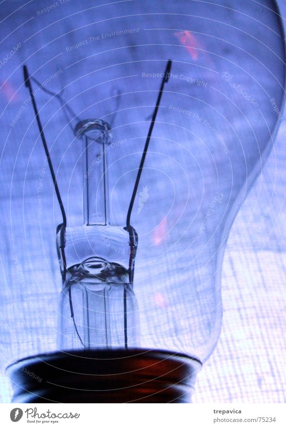 bulb I Light Lamp Violet Electricity Transparent Tesla Macro (Extreme close-up) Pink Bright glue lamp Lighting Blue Glass Detail reflection shine