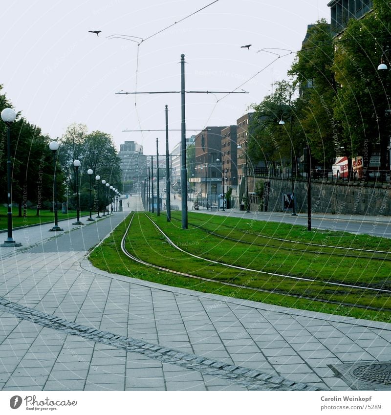 It's going downhill. Railroad tracks Grass Downward Lantern Sidewalk Tram Vanishing point Oslo September Tree House (Residential Structure) Town Lawn green