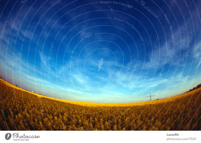 Rapsfeld Sessions Canola field Yellow Field Spring Summer Fisheye Blue Sky