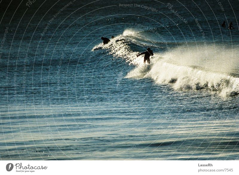 Surfing the sunset Waves Ocean Australia Byron Sports Water