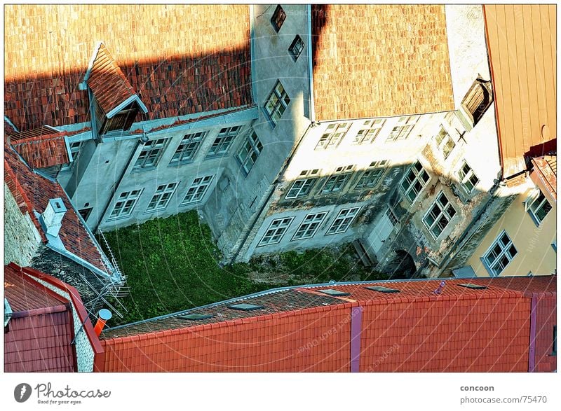 Tallinn Courtyard Backyard Bird's-eye view Insight Meadow Decline Estonia Interior courtyard northeastern europe