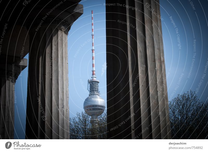 Colonnade, Colonnadenhof, Museum Island Berlin, in the background is the television tower Style Leisure and hobbies Vacation & Travel Spring Beautiful weather