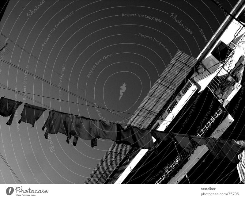 Venice my Love Italy Laundry Clothesline Old times Black & white photo Sky Photos of everyday life