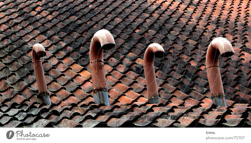 Broken Pride Colour photo Subdued colour Exterior shot Roof Swan Metal Brick Red Humble Outlet air Ventilation Roofing tile 4 Home improvement store Emission