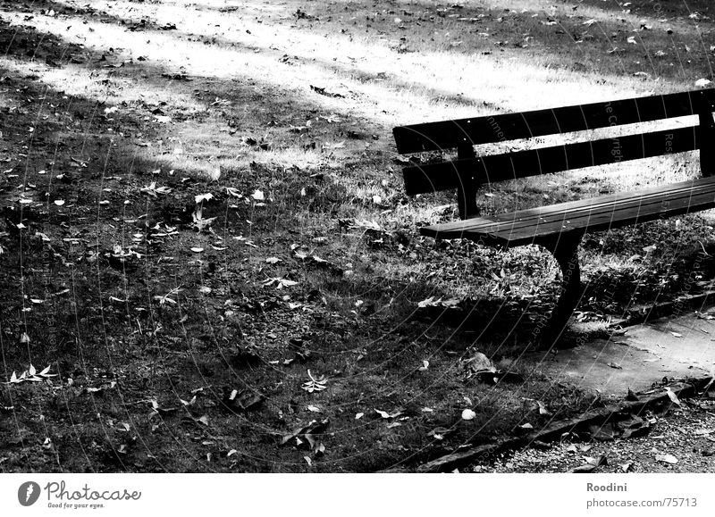 sit down first... Park Park bench Cemetery Calm Light Autumn Meadow Break Stop short Seating Armchair Wood Hiking Castle grounds Vacation & Travel Weekend