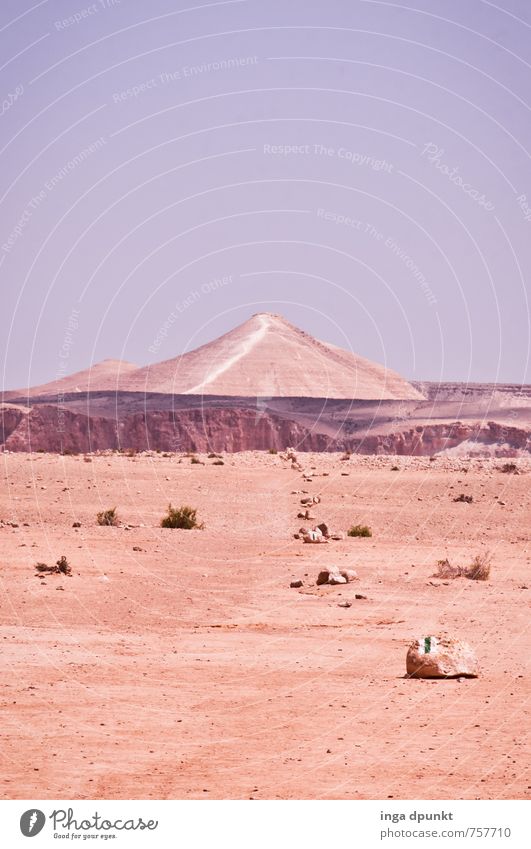 Through the desert.... Environment Nature Landscape Plant Elements Earth Sand Mountain Desert Israel Negev Dry Horizon Warmth Hot Sandstone Climate change