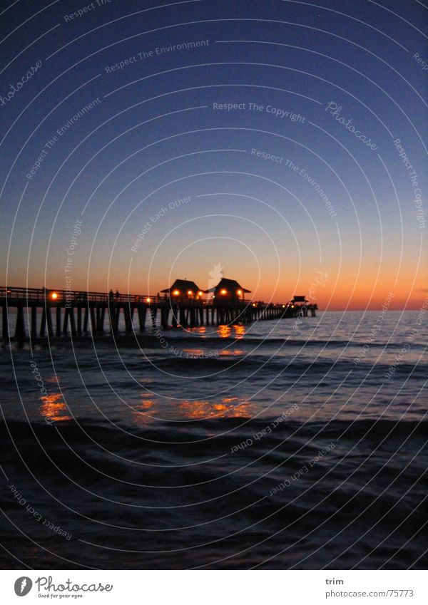 At night at the pier Jetty Night Ocean Dusk Dark Relaxation Exterior shot Long exposure Florida Sky Blue Light Bright USA Architecture