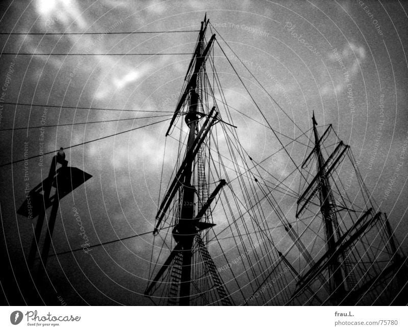 rig Rickmer Rickmers Cruise Watercraft Clouds Sailing ship Landmark Navigation Maritime Rope Leisure and hobbies Jetty histroric seagull museum ship ship's mast