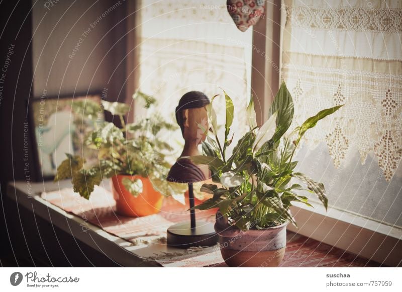 windowsill in suschaatown Living or residing Flat (apartment) Decoration Sculpture Old Retro Car Window Window board Houseplant Wooden figure Subdued colour