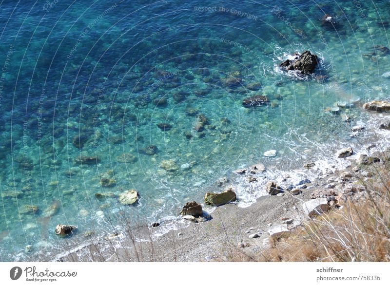 New shores Environment Nature Landscape Beautiful weather Waves Coast Beach Bay Ocean Blue Turquoise Stone Rock Rocky coastline Rock formation Grass