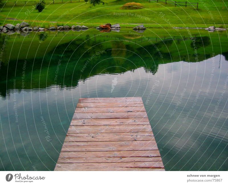 Jump in! Wood Lake Green Switzerland Footbridge Reflection Meadow Grass Calm Environment Tree Horizon Set Clean Cold Sky Mountain lake Nature Park Summer Water