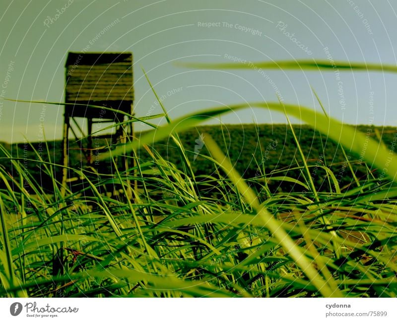 Let's go hunting! I Hunting Blind Field Grass Agriculture Moody Bird's-eye view Green Summer Mountain Landscape Sky Perspective Wind Blow Earth Floor covering