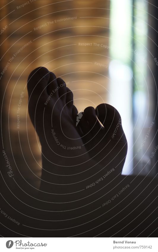 Holidays at last Feet Relaxation Drape Vacation home Summer Shadow Lie Man Adults Toes Silhouette Interior shot Day Striped Brown Black Shallow depth of field