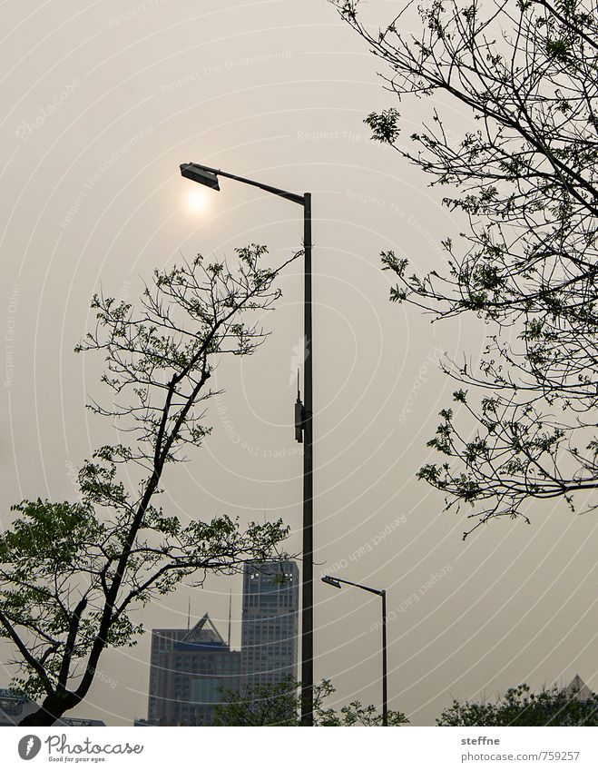 street lighting Beijing China Town City life High-rise Overpopulated Environmental pollution Smog Downtown Modern Lantern Street lighting Tree Sunset Evening