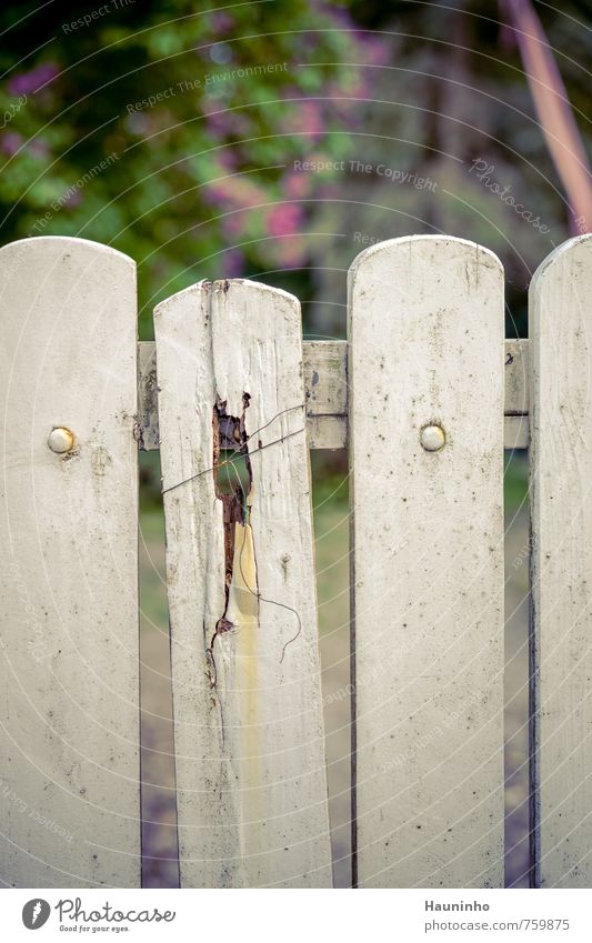 outdated ... Garden Garden fence Nature Spring Beautiful weather Plant Park Bavaria Wire Fence Wood Metal Living or residing Old Authentic Broken Town Green