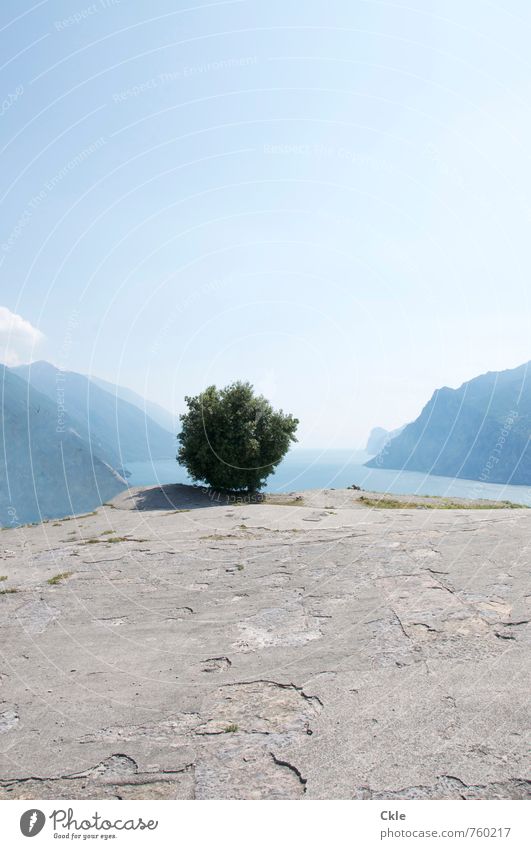 lago di garda Far-off places Summer Sun Mountain Nature Landscape Plant Sky Sunlight Beautiful weather Tree Monte Brione Peak Coast Lakeside Lake Garda Italy