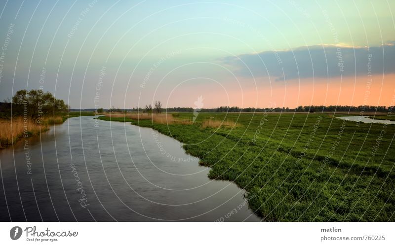 havelland Nature Landscape Plant Water Sky Clouds Horizon Sunrise Sunset Spring Climate Weather Beautiful weather Tree Grass Meadow River bank Blue Green Pink