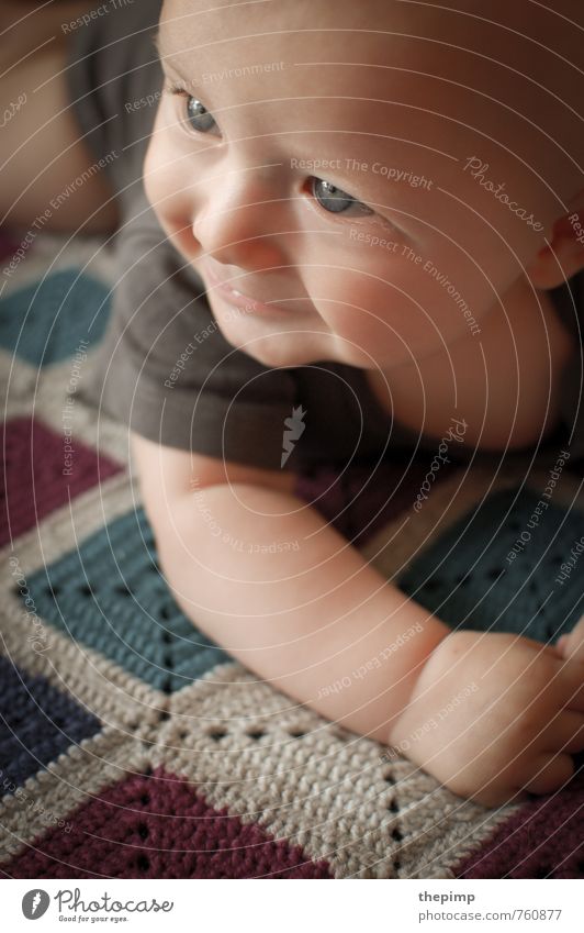 Baby Life II Masculine Infancy Head 1 Human being 0 - 12 months Observe Discover Crawl Smiling Happiness Happy Small Curiosity Cute Contentment Enthusiasm