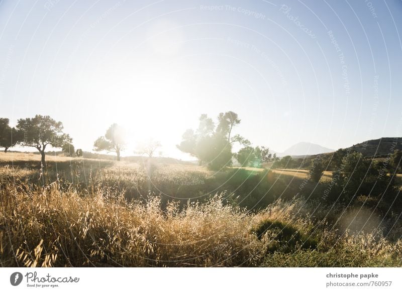 Massara plain / Crete Vacation & Travel Tourism Far-off places Safari Summer vacation Sun Mountain Nature Landscape Cloudless sky Sunlight Beautiful weather