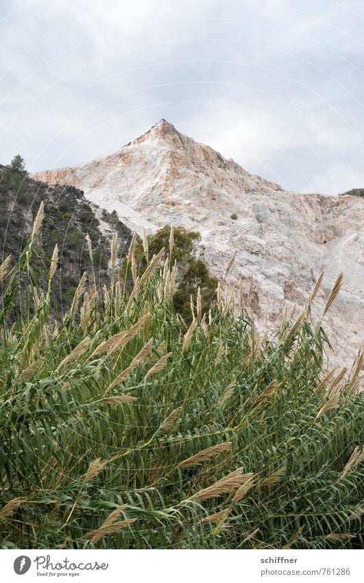 The summit Environment Nature Landscape Clouds Plant Foliage plant Rock Mountain Peak Dry Point Quarry Common Reed Gray Window Mining Exterior shot Deserted