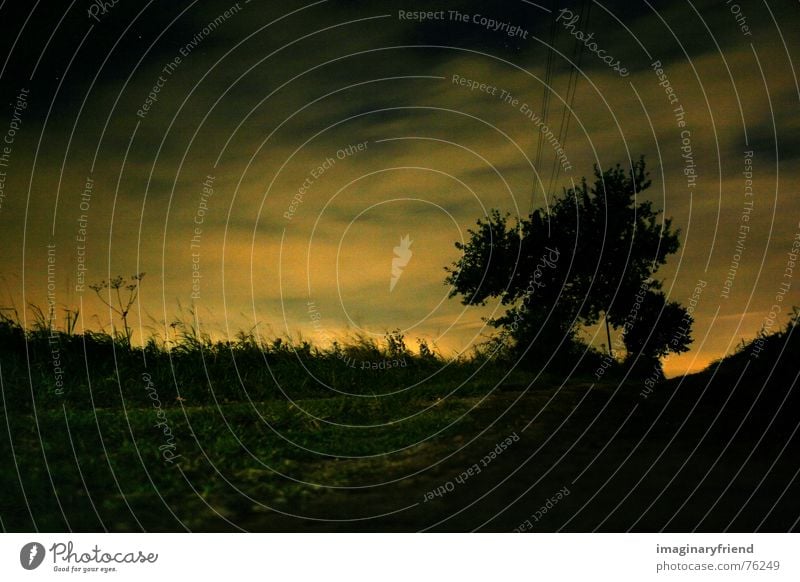 the sun woke the whole state Sunrise Clouds Night Twilight Morning Tree Meadow Grass Countries High voltage power line Long exposure