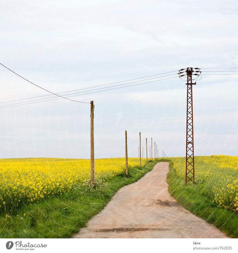 blue ride Trip Energy industry Electricity pylon Environment Nature Landscape Earth Sky Clouds Summer Grass Canola field Field Street Lanes & trails Yellow