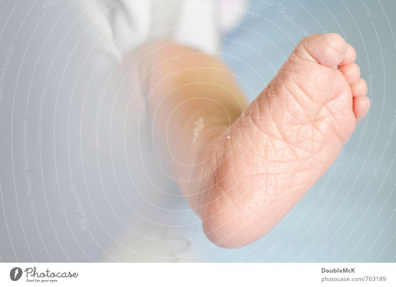 shrivelled feet Baby Feet Toes 1 Human being 0 - 12 months Lie Small Blue Pink Peace Infancy Naked Barefoot Colour photo Interior shot Close-up Detail