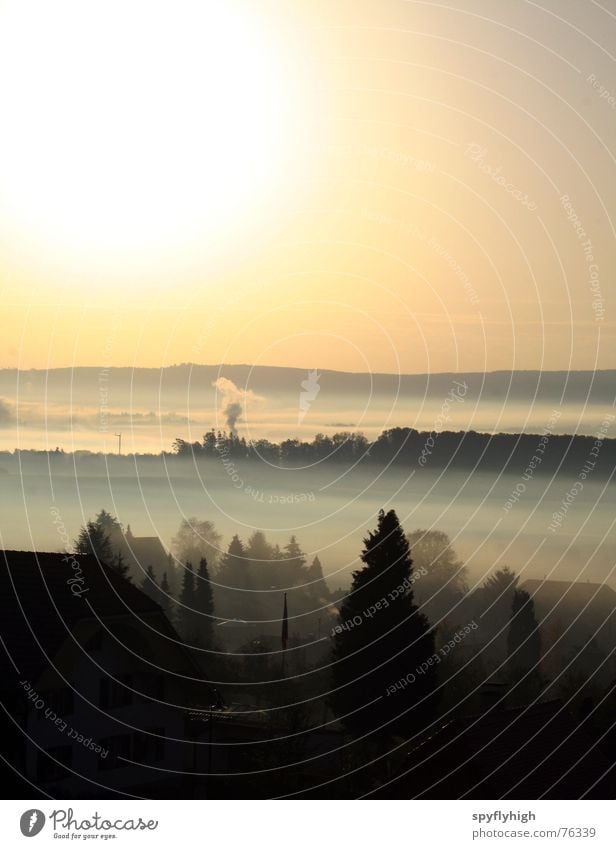 sweet morning glow Switzerland Sunrise Clouds Fog Play of colours Forest Morning Mountain Alps Jurassic system Smoke Shadow Sky Dawn