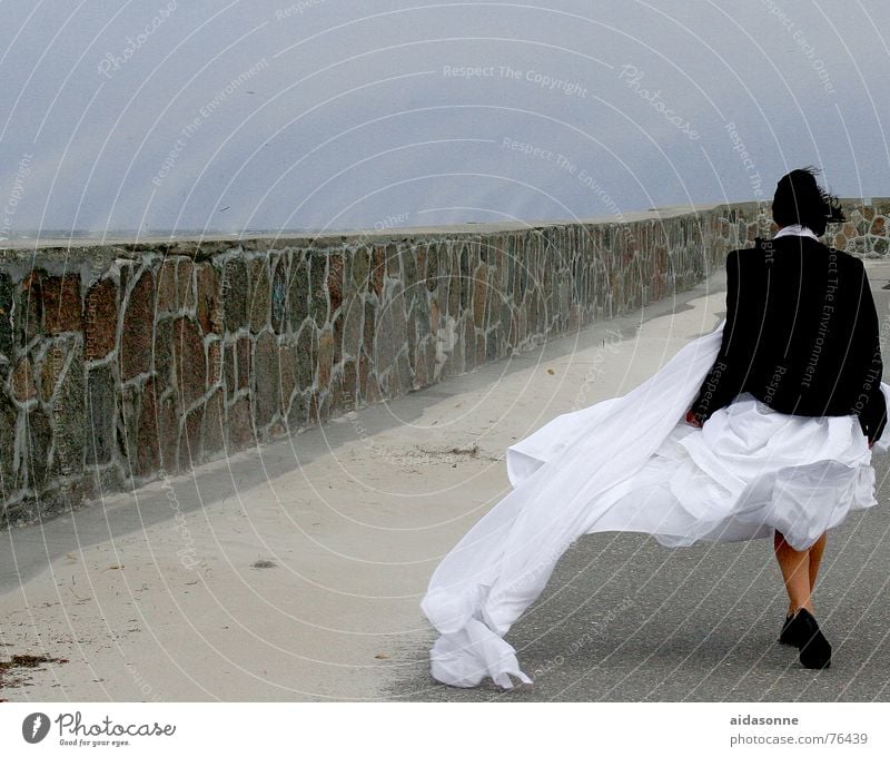 Sandstorm on the Moole Gale Woman Warnemünde Wall (barrier) moole brown seaman's bride Rock