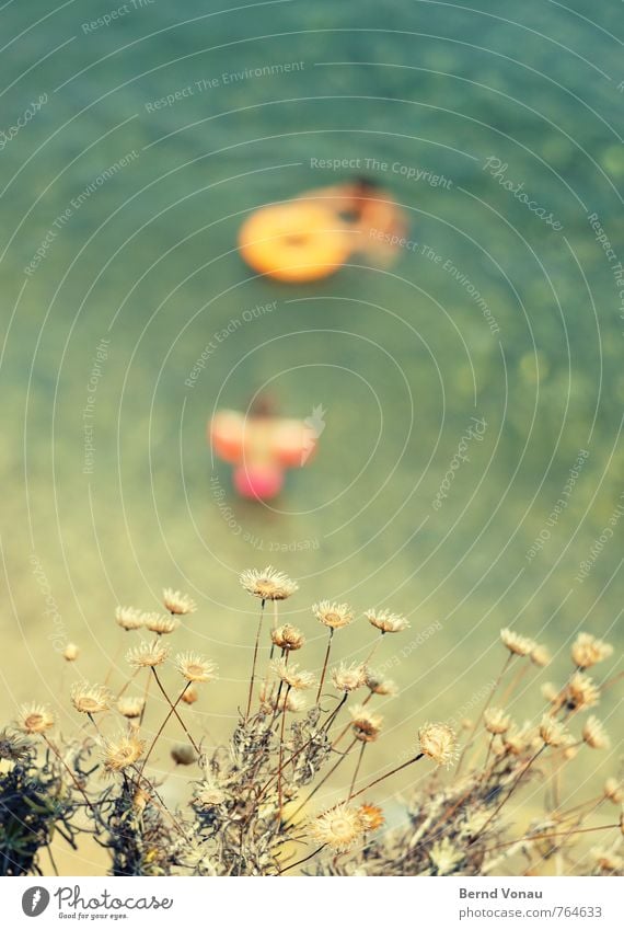 bathers Swimming & Bathing Shallow depth of field Flower Ocean Beach Vacation & Travel Water wings Summer Warmth Sun Blossom Green Yellow Orange