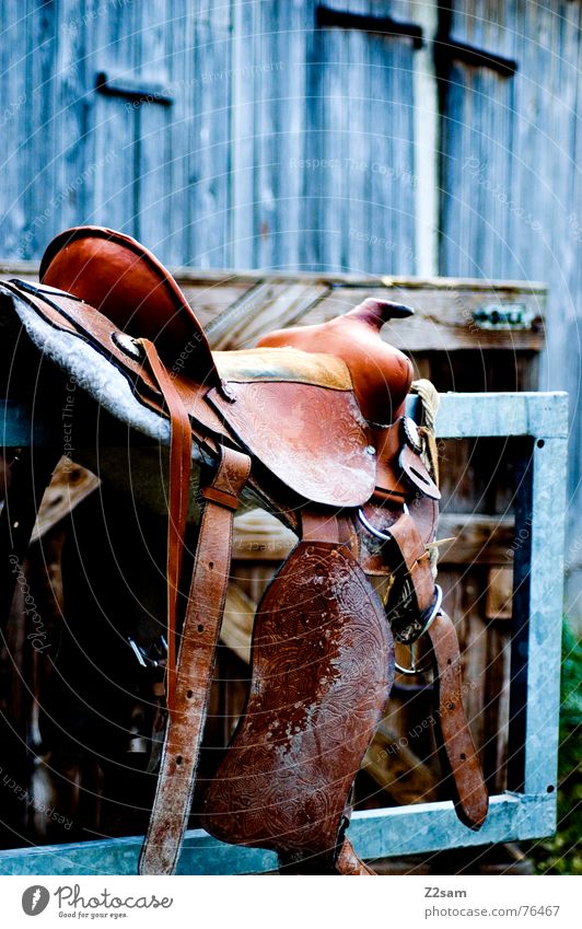 horse saddle Horse Leather Animal Barn Wood Brown Aluminium Seating Equestrian sports Sit Colour Gate Metal Saddle