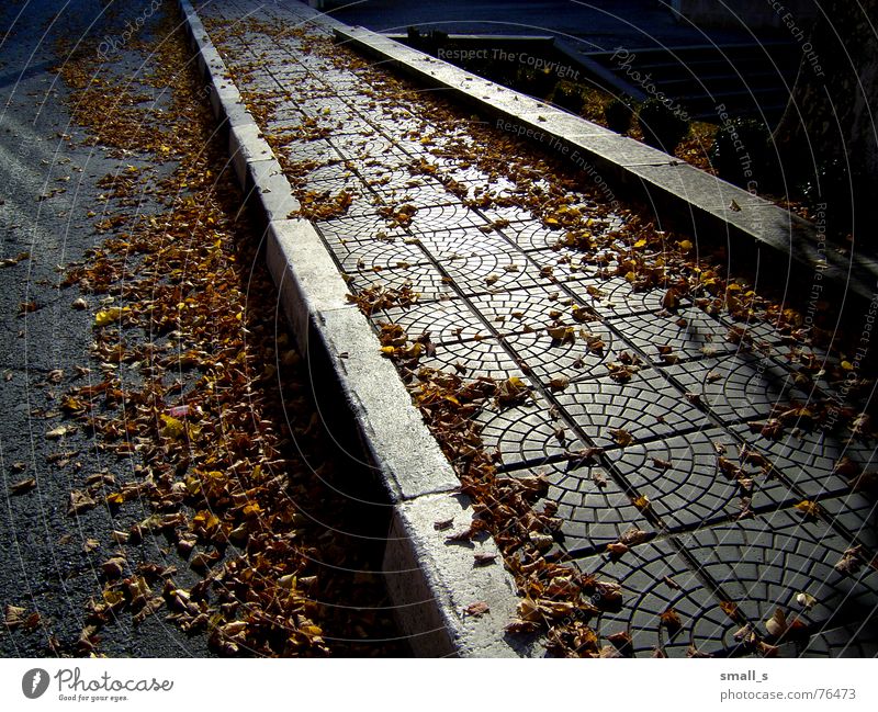 Now i feel the autumn... Yellow paving-stone pavement leaves late street sun