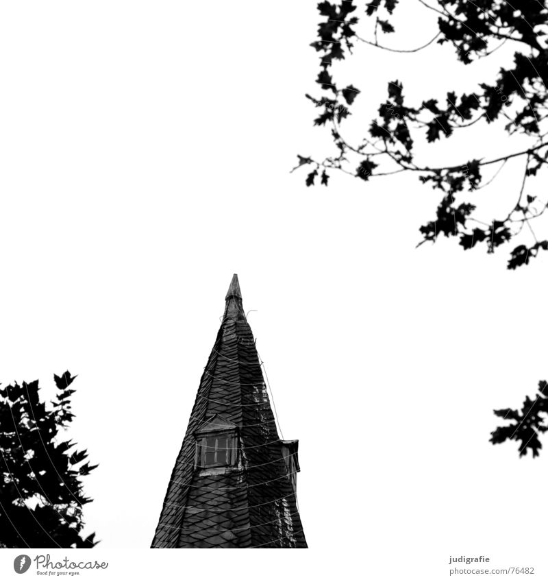 Lace with windows Church spire Window Tree Leaf Black White Oak tree Religion and faith Point Monastery wennigsen Contrast roof house Lightning rod Tilt