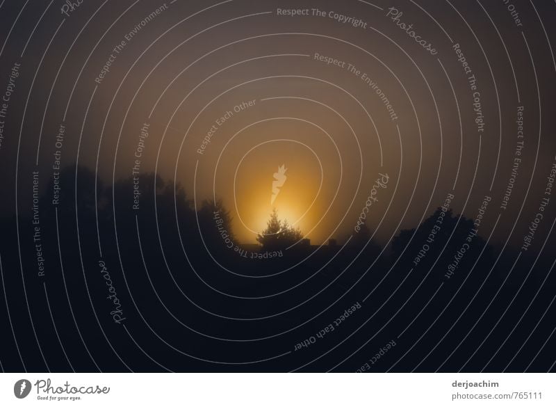 The sun sets, shreds of fog, trees, dark sky Calm Vacation & Travel Environment Night sky Sunrise Sunset Beautiful weather Tree Forest Germany Small Town