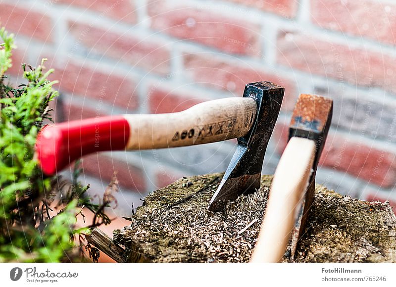 THE AXE IN THE FOREST Leisure and hobbies Garden Agriculture Forestry Environment Nature Tree Movement "Wood," Axe Chop Woodcutter Tree trunk Musculature Force