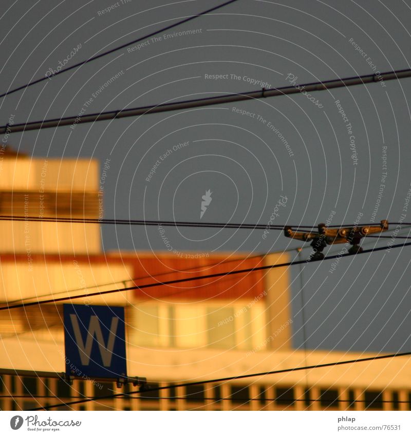 catenary wire into the sunset Overhead line Tram Leipzig Shopping center Sunlight Sunset Town Light Transport Letters (alphabet) Wire Electricity Linearity